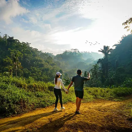Daydream Lodge Tegallalang