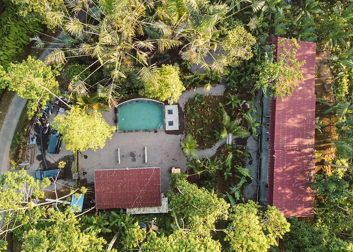 Resort Daydream Tegallalang