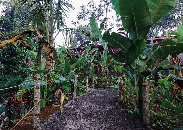 Resort Daydream Tegallalang *