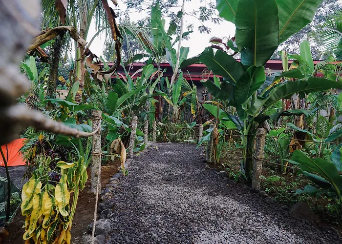 Daydream Tegallalang Resort