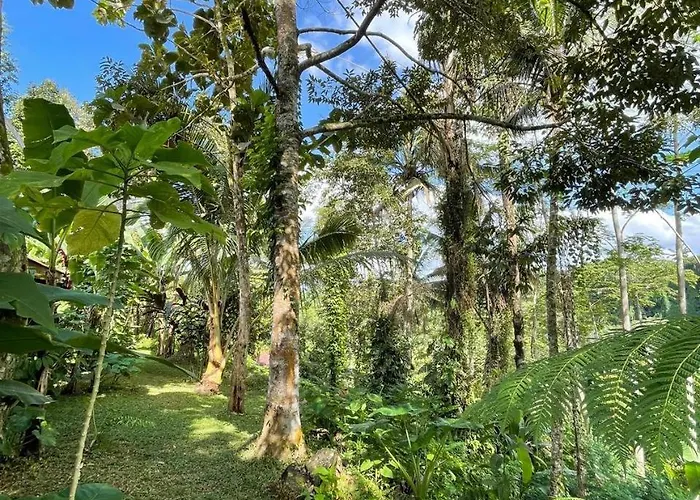 Resort Daydream Tegallalang Tampaksiring